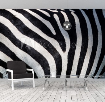 Picture of Zebra pattern